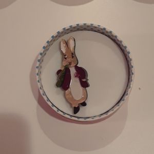 Erstwilder peter rabbit pin